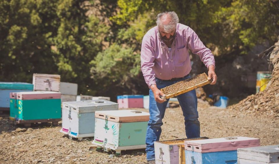 Truffle Hunting, Culinary & Wine Celebration From Heraklion - Transportation Details