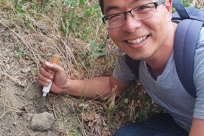 Truffle Hunting Experience in Assisi - Health and Accessibility Details