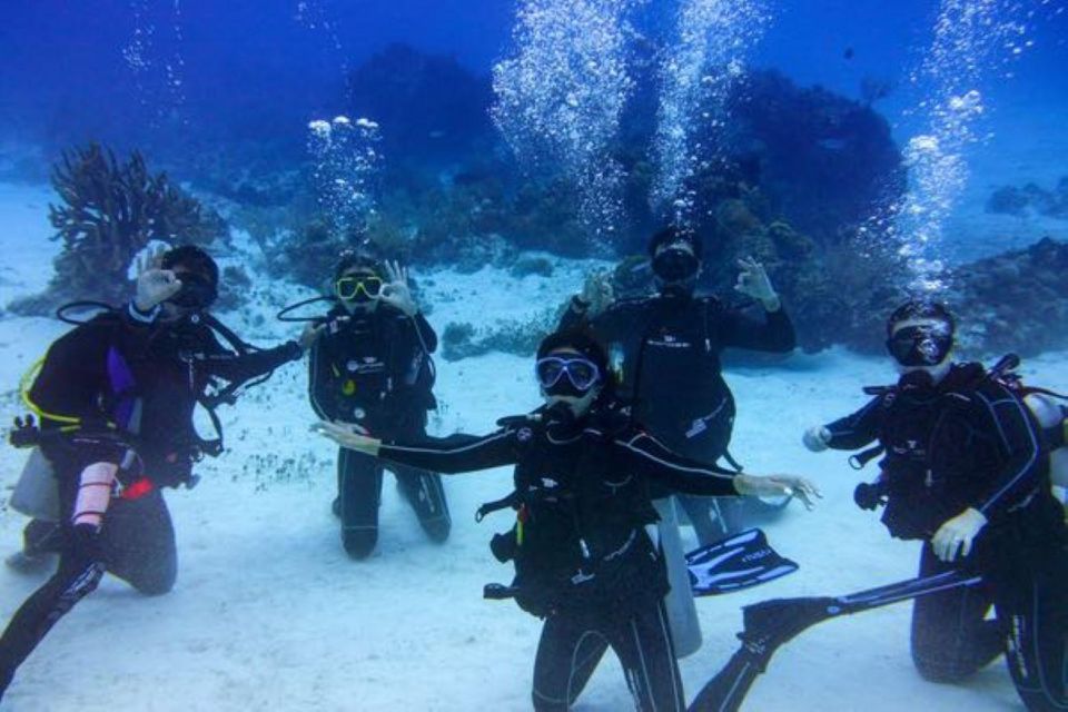 Tulum: Try Scuba Diving Adventure - Pricing and Booking