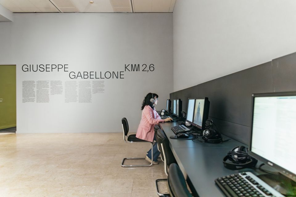 Turin: Gallery of Modern and Contemporary Art Entry Ticket - Visitor Experience and Amenities