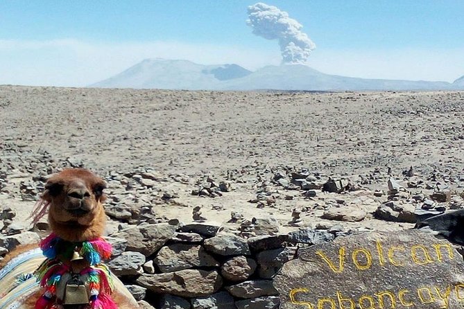 Turist Bus Colca Canyon (Chivay) To Puno - Important Travel Information