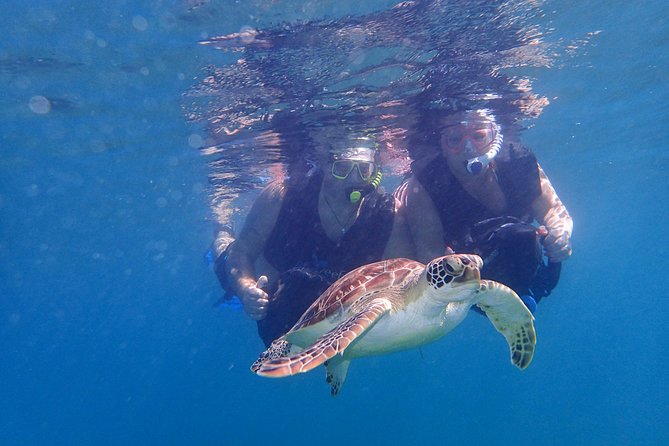 Turtle Beach Power Snorkeling Adventure - Exploring the Underwater Wonders