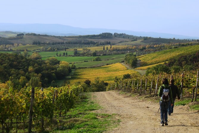Tuscany Hiking Tour From Siena Including Wine Tasting - Activity Difficulty and Requirements