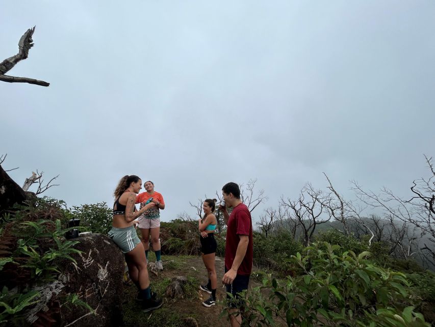 Ubatuba - Pico Do Piúva Trail - Piuva Peak Information