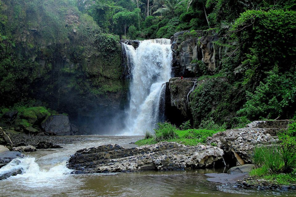 Ubud & Canggu: Rice Terrace, Waterfall & Black Sand Beach - Tegenungan Waterfall Adventure