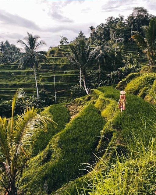 Ubud Full Day Tour - Fully Customized With Guided Tour - Highlights of the Tour