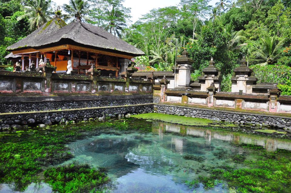 Ubud: Highlights Small Group Guided Tour - Tegenungan Waterfall