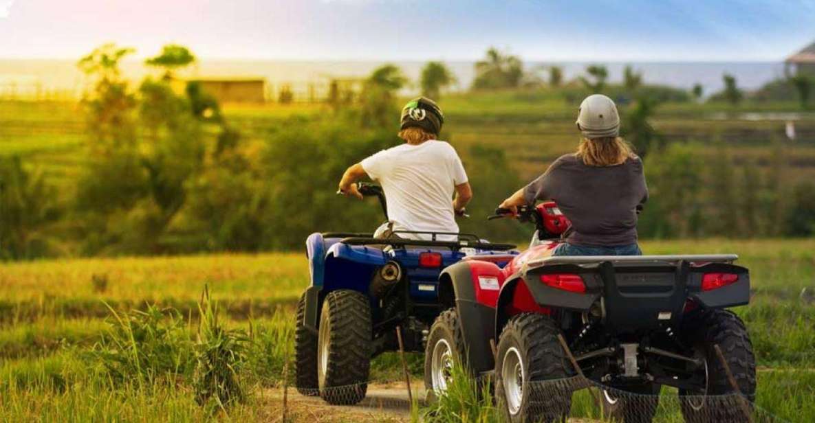 Ubud: Quad Bike ATV Guided Tour With Transfer - Highlights of the Experience