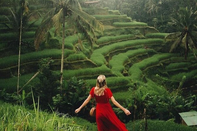 Ubud: Swing - Monkey Forest - Waterfall - Temple - Rice Terraces - Art Crafts - Rice Terraces and Cafe