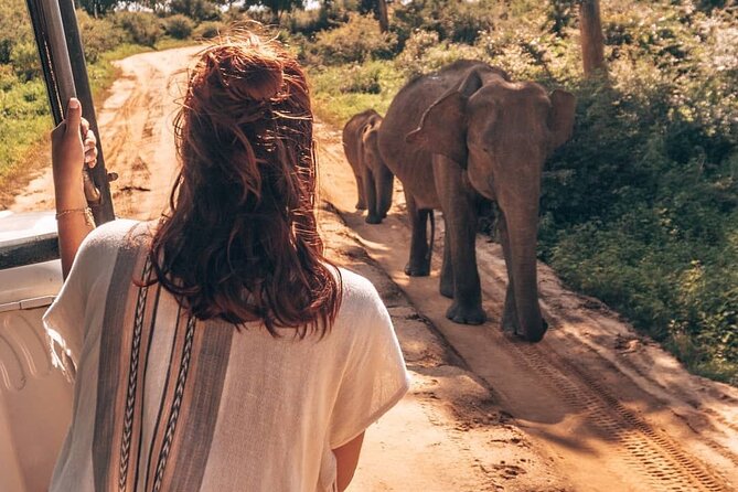 Udawalawa Safari Drive From Galle, Weligama, Mirissa & Dickwella - Pickup Locations and Information