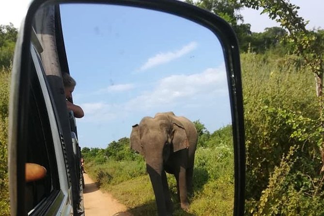 Udawalawe National Park Private 4 Hours Safari Tour - Tour Logistics