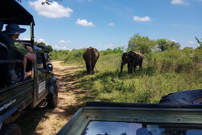 Udawalawe National Park Safari Trip From Galle/Mirissa/Ella - Participant Requirements