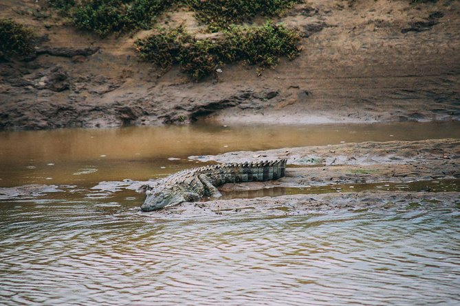 Udawalawe Safari From Hambantota Port (Shore Excursion) by BTM - Pickup and Transportation Details