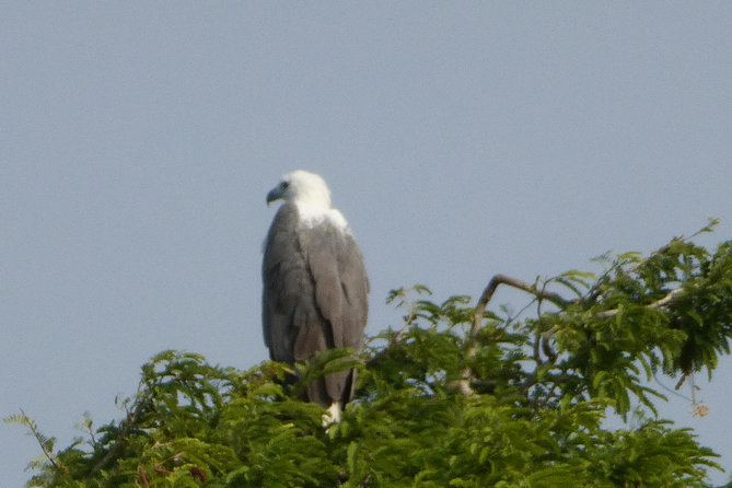 Udawalawe Safari Private Day Trip From Bentota and Kalutara Areas - Inclusions and Amenities Provided