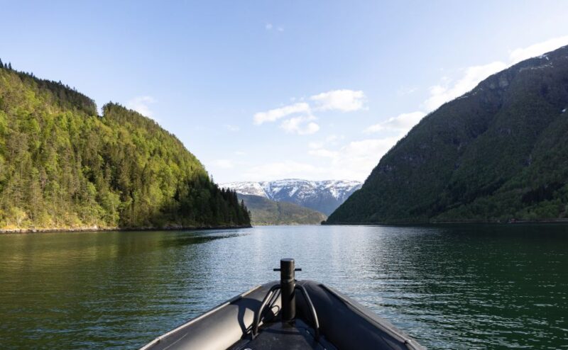 Ulvik: Hardangerfjord and Osafjord RIB Tour - Meeting Point and Arrival