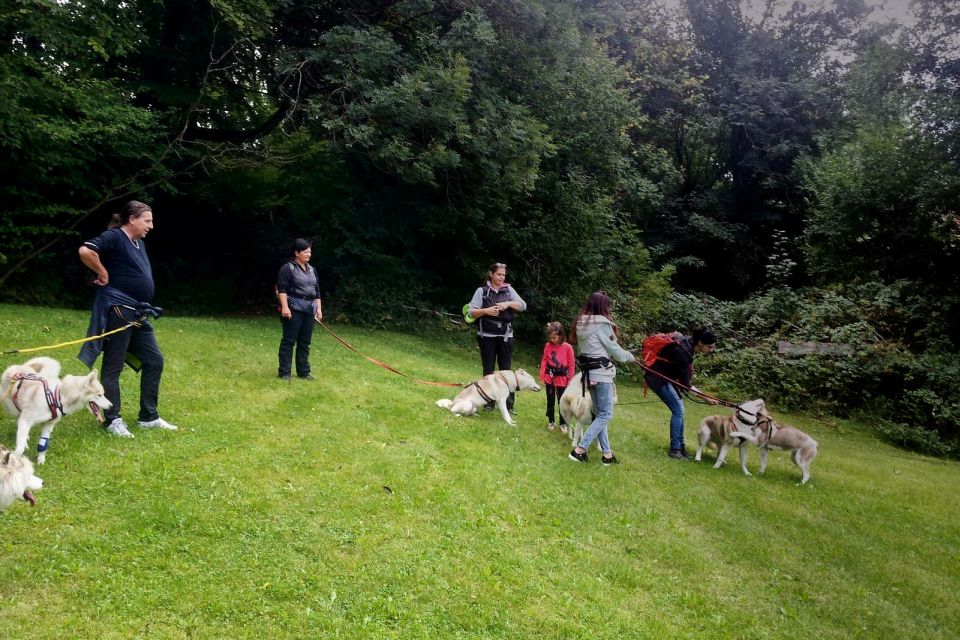 Underallgäu: Wiedergeltingen Guided Hike With Huskies - Tour Inclusions