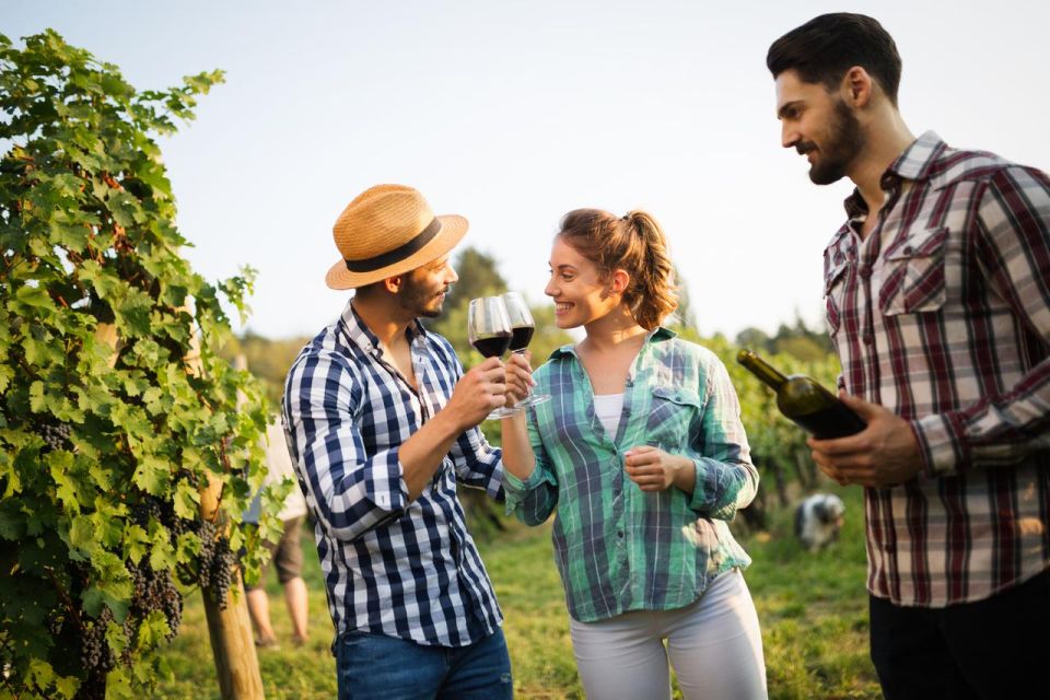 UNESCO Heritage and Wine Delights Private Tour From Bordeaux - UNESCO World Heritage Site
