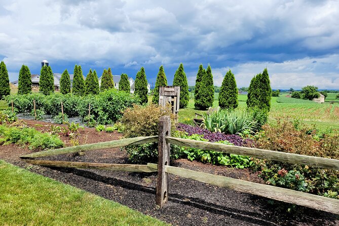 Unique Amish Immersion in Lancaster - Reviews and Guest Feedback