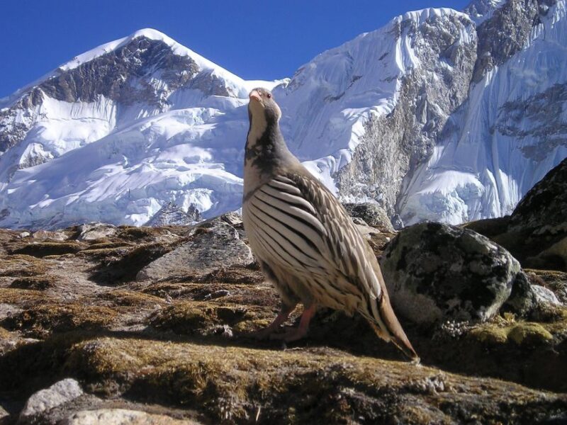Upper Mustang Trek Adventure: Mysteries of Forbidden Kingdom - Cultural Insights