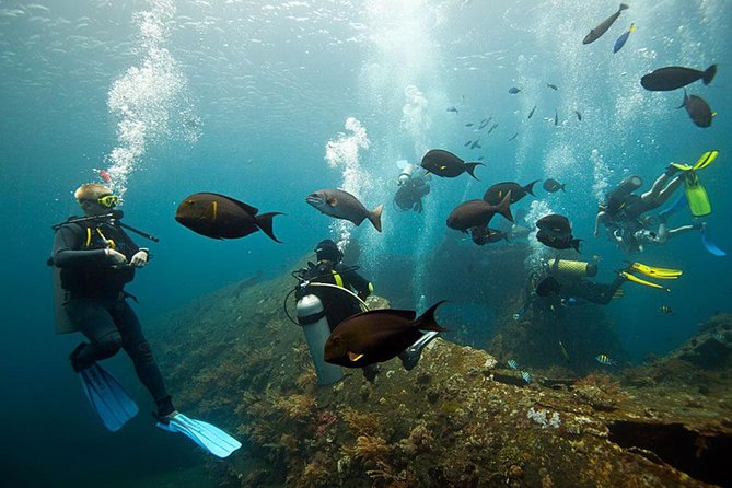 USS Liberty Shipwreck Scuba Diving at Tulamben Bali - Inclusions