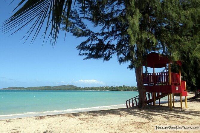 UTV and Can-Am Sightseeing Tours in Puerto Rico - Customer Feedback and Reviews