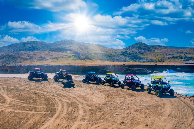 UTV Expedition: Discovering Arubas Hidden Wonders - Customer Experiences and Feedback