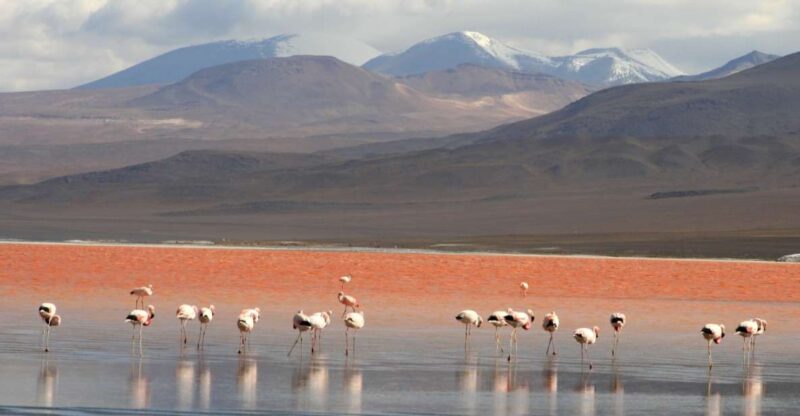 Uyuni: Uyuni Salt Flats and Red Lagoon 3-Day Tour - Day 1 Activities