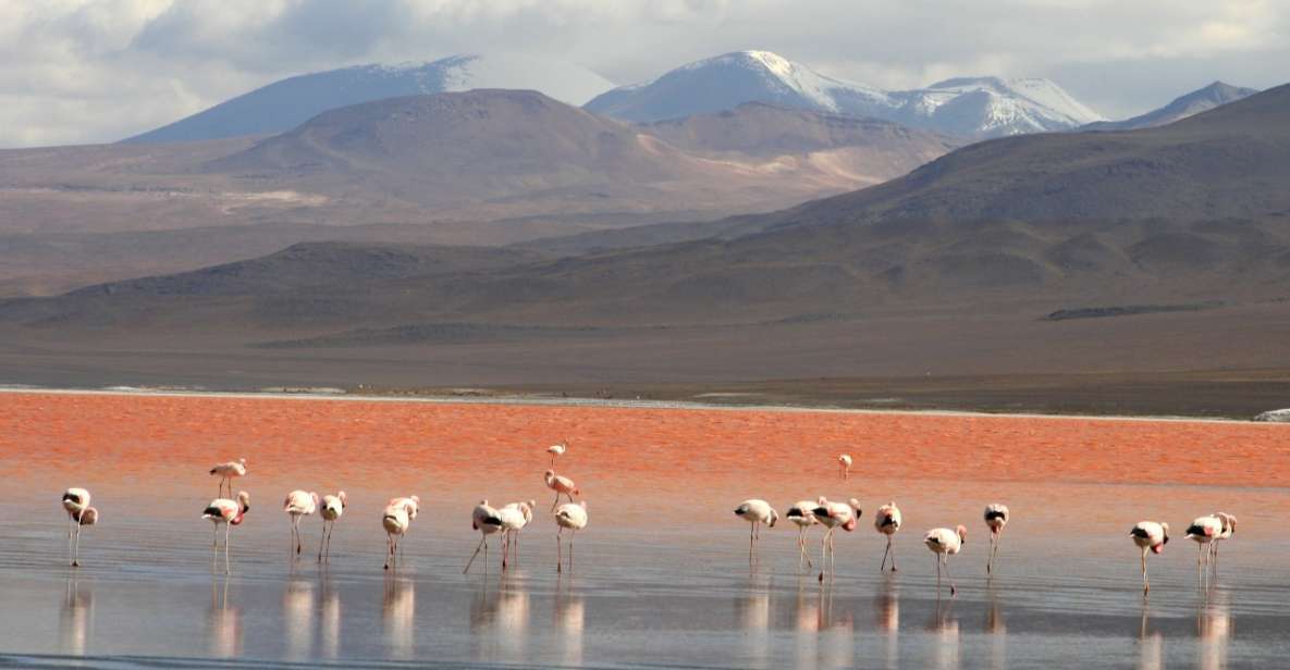 Uyuni: Uyuni Salt Flats and Red Lagoon 3-Day Tour - Day 2 Itinerary Highlights