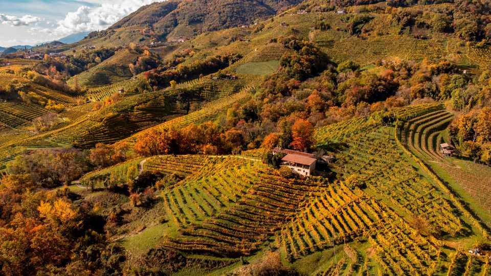 Valdobbiadene: Prosecco Superiore Hills Tour With Wine Tasting - Transfer to Historic Vineyard