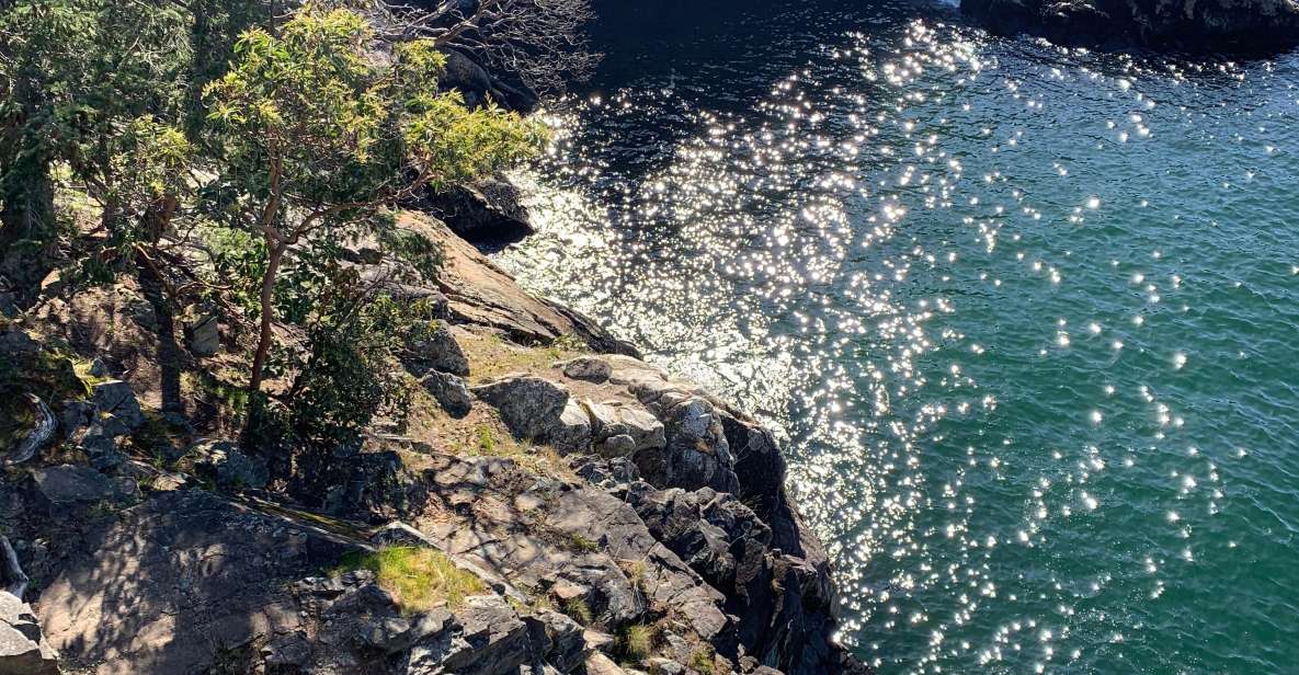 Vancouver: Lighthouse Park Hike - Coastal Trails and Scenic Views