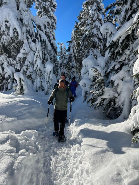 Vancouver: North Shore Mountains Snowshoeing With Transfer - Snowshoeing Experience