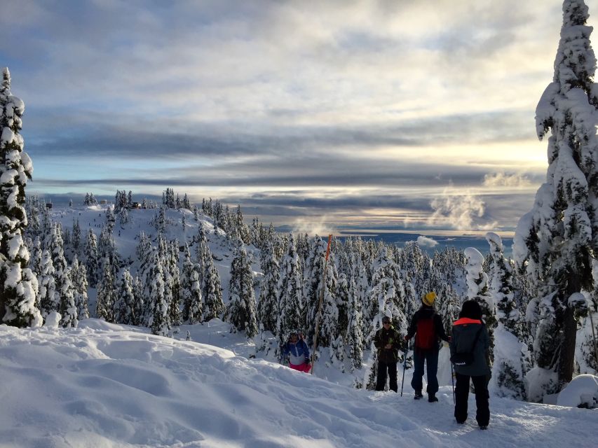 Vancouver: Panoramic View Hiking Tour - Included