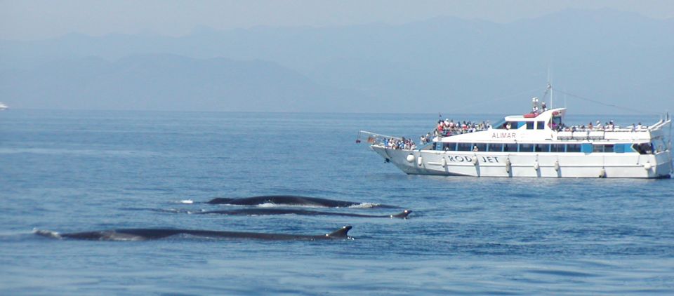 Varazze: Pelagos Sanctuary Guided Cetacean Watching Tour - Inclusions and Amenities