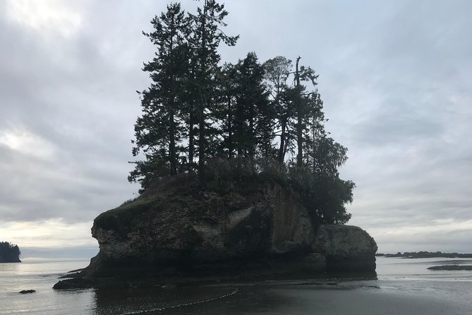 Viator Exclusive Tour- Olympic National Park Tour From Seattle - Preparation and Requirements