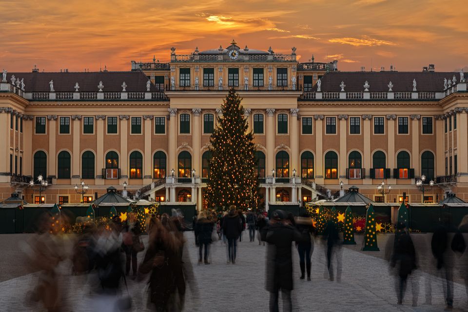 Vienna: Schönbrunn Christmas Market and Classical Concert - Culinary Experience