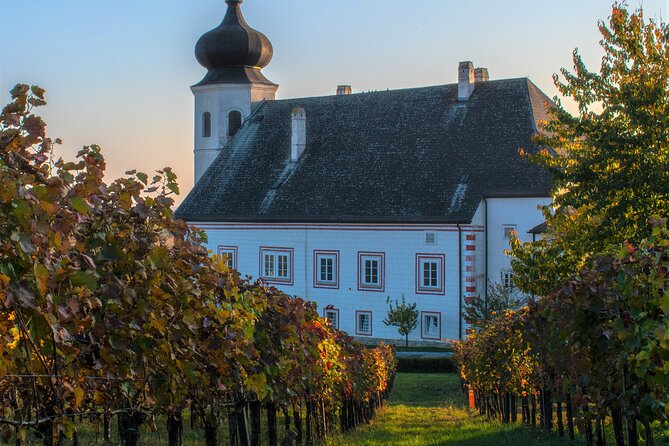 Vienna Woods Wine Tour - Wines, Vines & Good Times! - What to Expect on the Tour