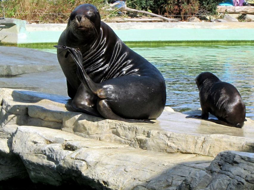 Vienna: Zoo With Private Flexible Transfers and Tickets - Zoo Overview