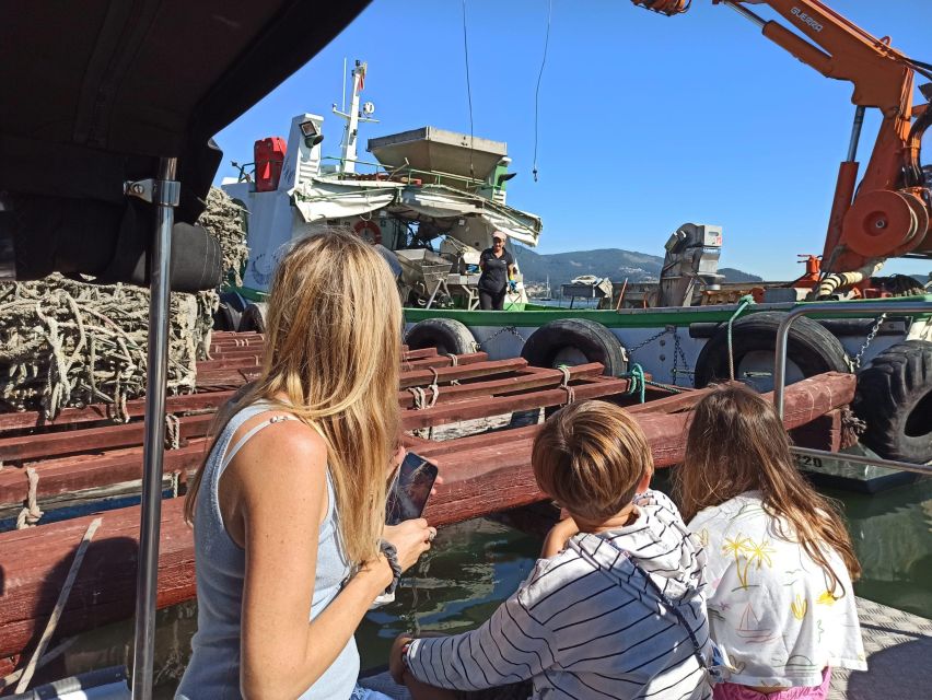 Vigo: Bay of San Simón Mussel Farming Tour - Highlights