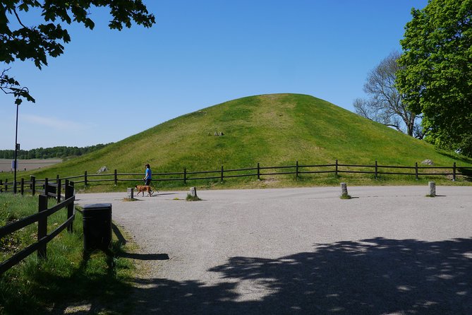 Viking History, Fika & Countryside 9h Tour to Sigtuna & Uppsala - Viking Parliament Location