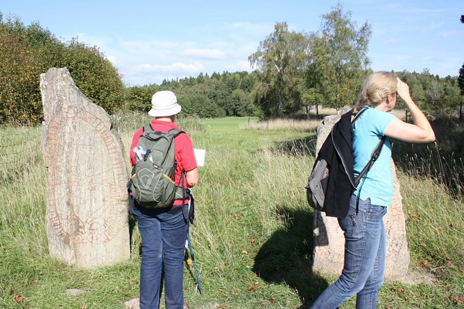 Viking History Small Group Tour From Stockholm: Half Day Including Sigtuna - Visiting Ancient Graves and Rune Stones