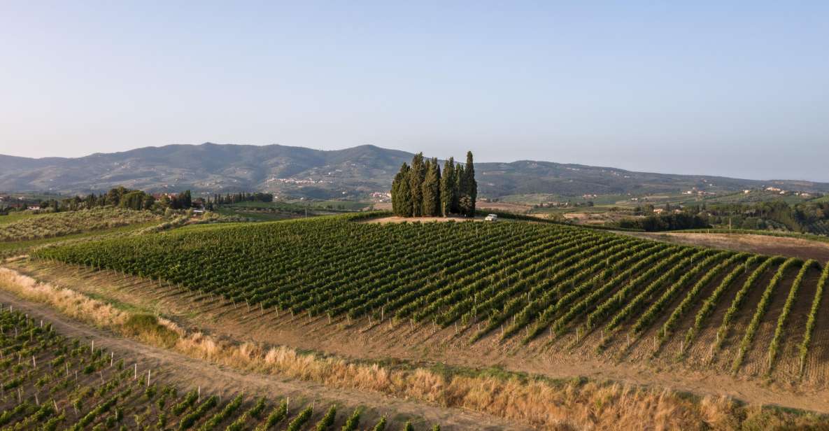 Vinci: Wine-Experience Among the Tuscan Hills - Meeting Location and Directions