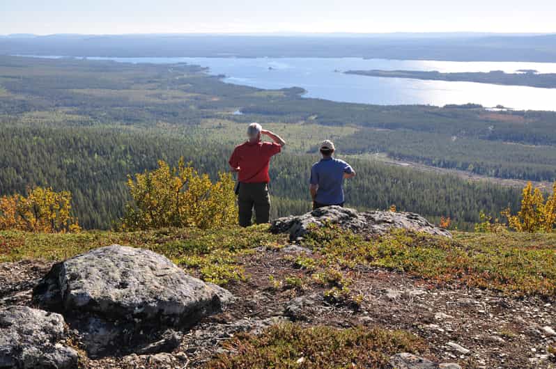 Vindelfjäll Nature Reserve: a Walk Through Reindeer Country - Itinerary Highlights