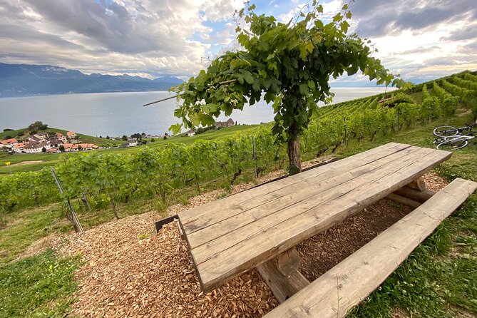 Vine Stories: Lavaux & Lutry Wine Walk - Inclusions and Logistics