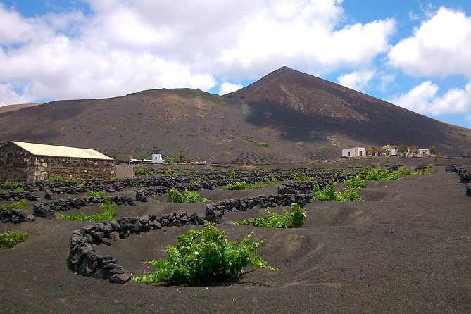 Vineyards of La Geria Hiking Tour - What to Expect on the Hike