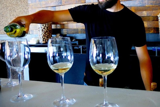 Vino Venture: Explore With a Local - Troodos Mountains Thru Wine! - Local Guide