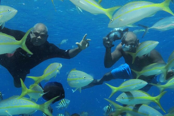 VIP Fascinating Boat Ride & Snorkeling at Sosua Bay - Snorkeling Highlights