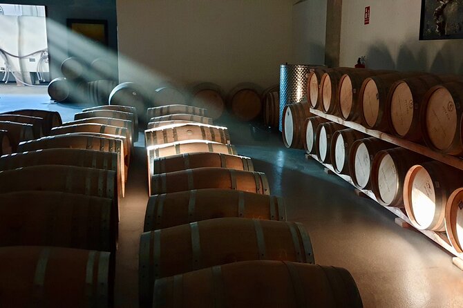 Visit and Wine Tasting at the Territorio Luthier Winery - Whats Included