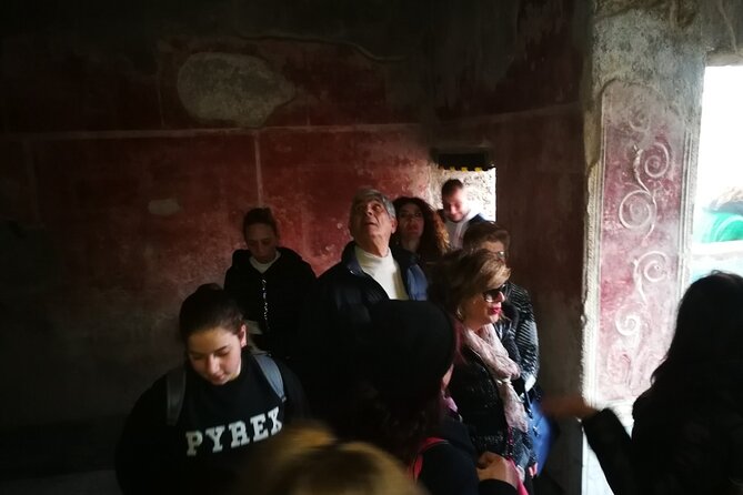 Visit Pompeii With an Expert Professional Guide (2/3 Hours) - Accessibility Information