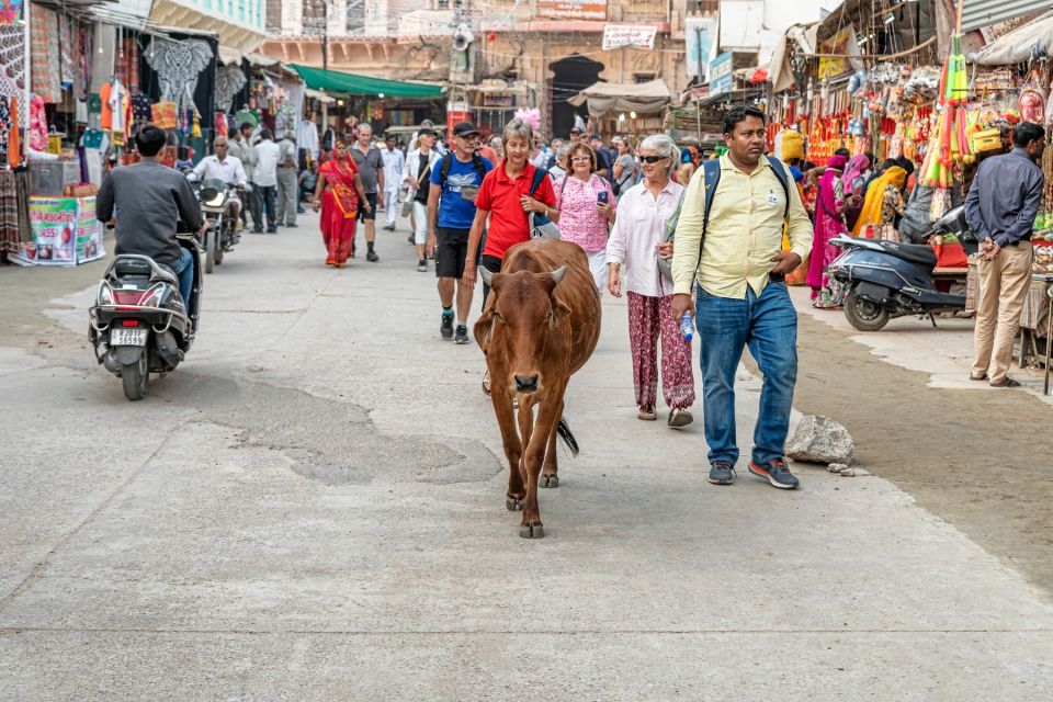 Visit Pushkar With Bikaner Drop From Jaipur - Significance of Brahma Temple