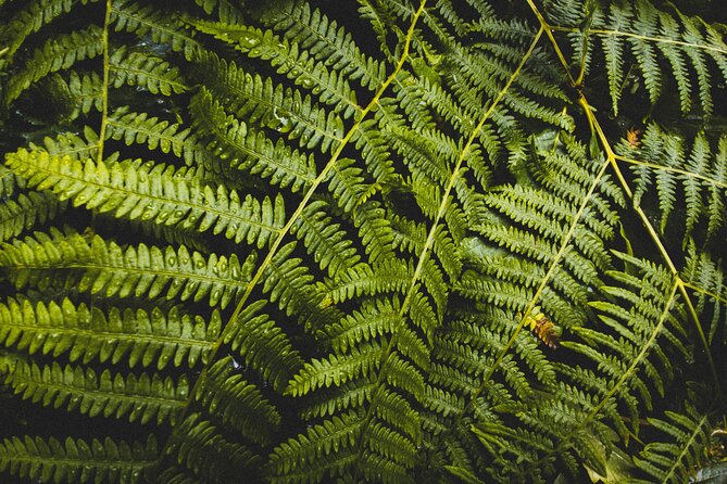 Visit Snoqualmie Falls and Hike to Twin Falls - Discovering Olallie State Park